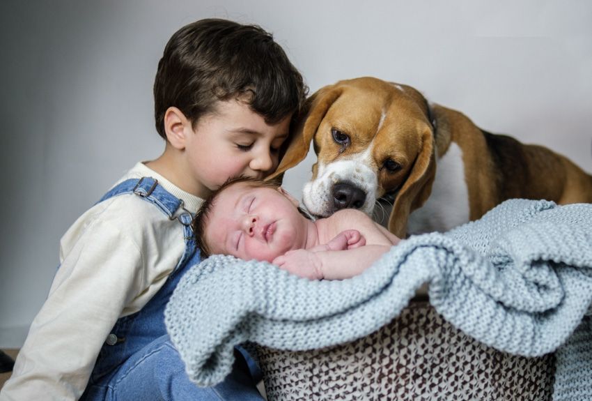 fotos de recién nacida con su perro, enelcampito, 